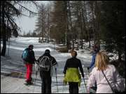 Click to display the file, DSCN5643.jpg