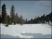 Click to display the file, DSCN5650.jpg