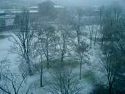 Click to display the file, CIMG0066.jpg