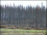 Click to display the file, DSC05033.jpg