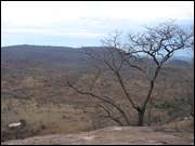 Click to display the file, DSC05203.jpg