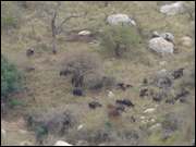 Click to display the file, DSC05255.jpg