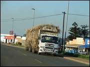 Click to display the file, DSC05263.jpg