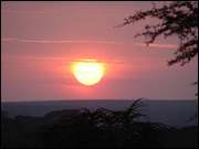 Click to display the file, DSC05296.jpg