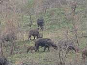 Click to display the file, DSC05305.jpg