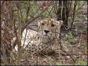 Click to display the file, DSC05311.jpg