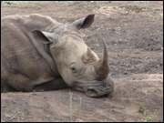 Click to display the file, DSC05326.jpg