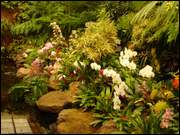 Click to display the file, DSC05388.jpg