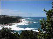 Click to display the file, DSC05463.jpg