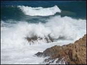 Click to display the file, DSC05470.jpg