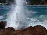 Click to display the file, DSC05482.jpg