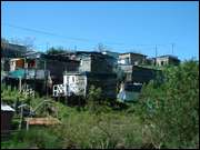 Click to display the file, DSC05490.jpg