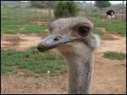 Click to display the file, DSC05562.jpg