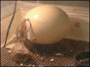 Click to display the file, DSC05567.jpg