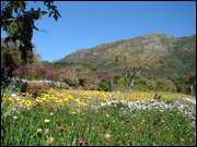 Click to display the file, DSC05633.jpg