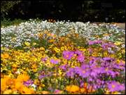 Click to display the file, DSC05639.jpg