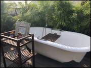 Click to display the file, Israel_(030).jpg