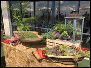 Click to display the file, Israel_(298).jpg