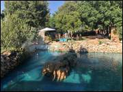 Click to display the file, Israel_(341).jpg