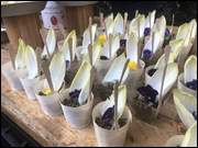 Click to display the file, Israel_(367).jpg