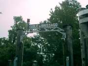 Click to display the file, CIMG0090.jpg