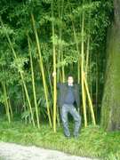 Click to display the file, CIMG0093.jpg