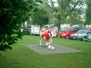 Click to display the file, CIMG0112.jpg