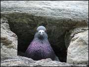 Click to display the file, DSC03193.jpg