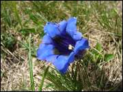 Click to display the file, DSC03259.jpg