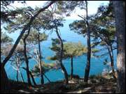 Click to display the file, DSC06256.jpg