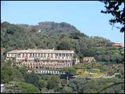 Click to display the file, DSC06261.jpg