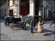 Click to display the file, DSC06409.jpg