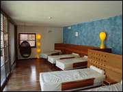 Click to display the file, DSC06529.jpg