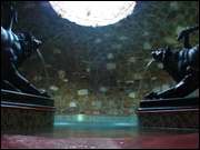 Click to display the file, DSC06544.jpg