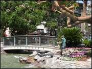 Click to display the file, DSC01608.jpg