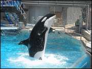 Click to display the file, DSC01879.jpg