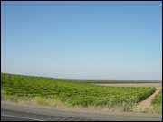 Click to display the file, DSC02656.jpg