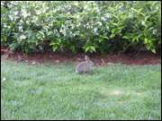 Click to display the file, DSC02977.jpg