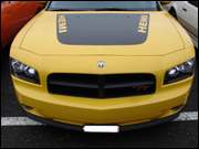 Click to display the file, DSC07347.jpg