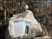 Click to display the file, IMG_8130.jpg