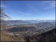 Click to display the file, IMG_8132.jpg