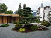 Click to display the file, DSC04031.jpg