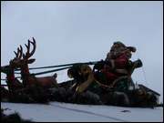 Click to display the file, DSC07787.jpg