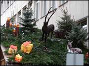 Click to display the file, DSC07797.jpg