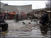 Click to display the file, DSC07804.jpg