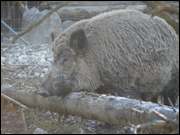 Click to display the file, DSC06093.jpg