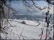 Click to display the file, DSC07745.jpg