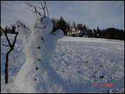 Click to display the file, DSC07767.jpg