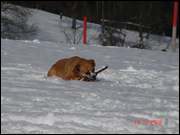 Click to display the file, DSC07771.jpg