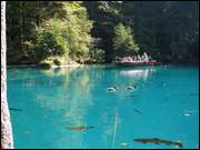 Click to display the file, DSC07477.jpg